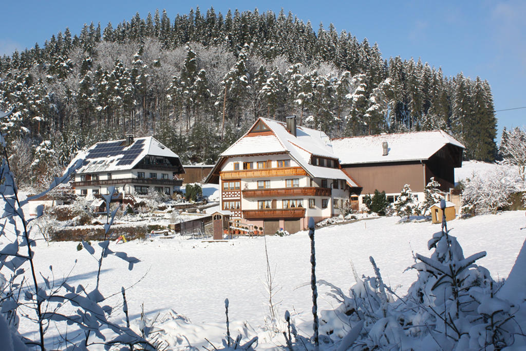 Schlosshof - Der Urlaubsbauernhof Βίλα Elzach Εξωτερικό φωτογραφία