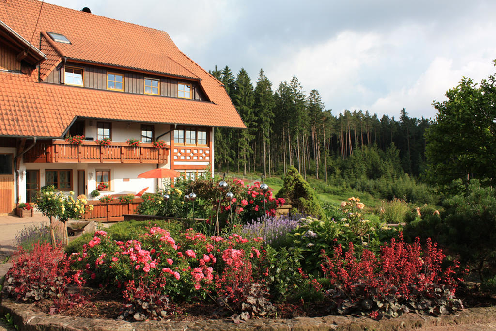 Schlosshof - Der Urlaubsbauernhof Βίλα Elzach Εξωτερικό φωτογραφία